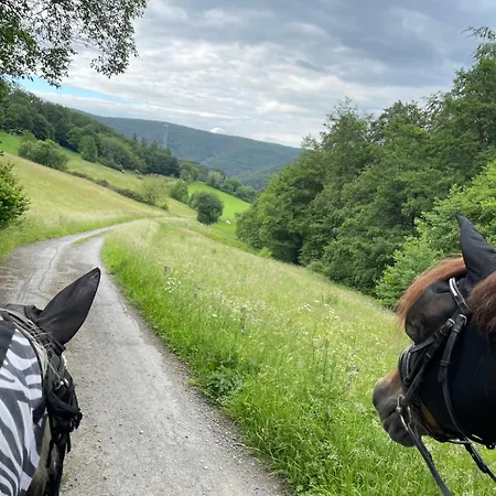 Ponyparadies
